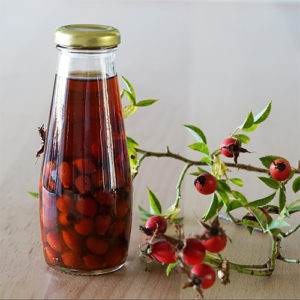 Rosehips and Jar